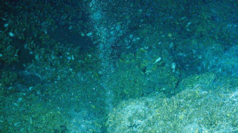 Ocean currents disturb methane-eating bacteria