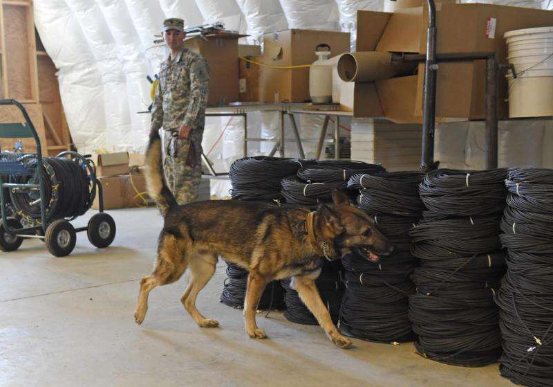 ONR: Helping to train the future canine force