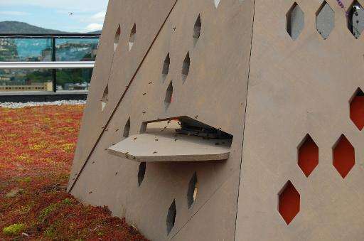 Oslo's &quot;bee highway&quot; aims to give the insects a safe passage through the city, lined with relays providing food an she