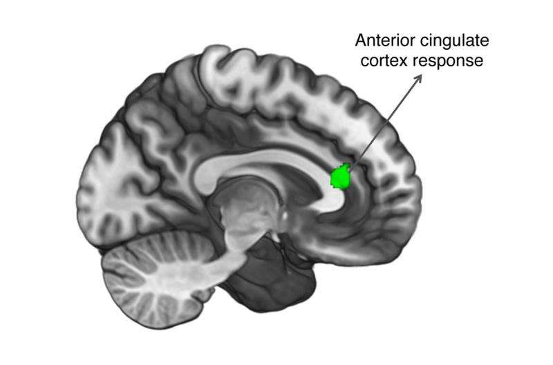 Our brain's response to others' good news depends on empathy