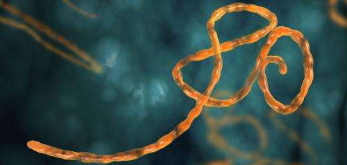 Oxford Vaccine Group begins first trial of new ebola vaccine