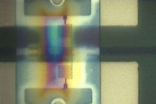 Packing single-photon detectors on an optical chip to create quantum-computational circuits