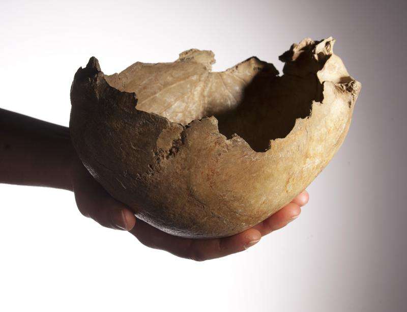 Palaeolithic remains prove cannibalistic habits of human ancestors