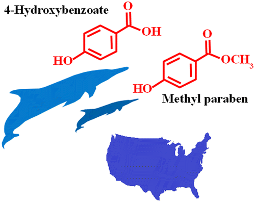 Parabens and their byproducts found in dolphins and other marine mammals