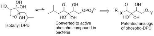 Patent awarded for compounds that inhibit biofilm formation and persistence