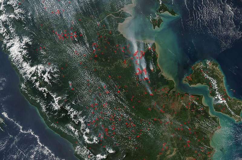 Peat fires in Sumatra strengthen in El Nino years