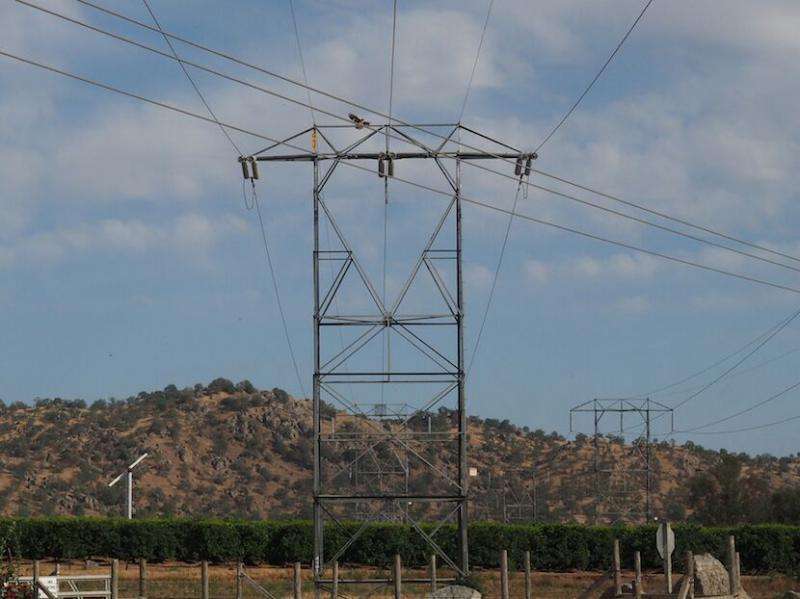 Penn historian discusses the threat birds posed to the power grid in 1920s California