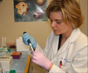 Penn Vet-Temple team characterizes genetic mutations linked to a form of blindness