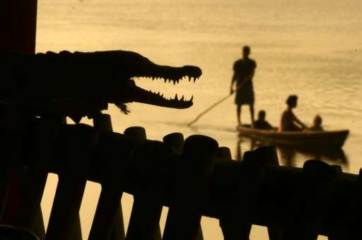 People drive a boat past a crocodile in Barra de Santiago, 110 km southwest of San Salvador, El Salvador on June 23, 2015