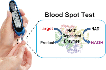 Personal glucose meters can be effectively employed for the quantification of many biomarkers in the patient's blood