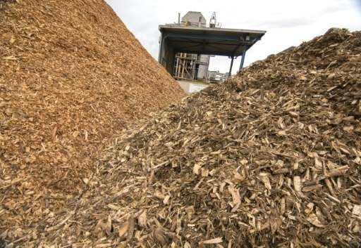 Piles of wooden chips to be processed at the Guessing Energy Technologies research centre in the Austrian town of Guessing