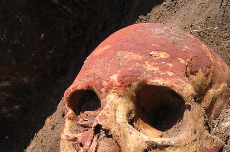 Plague in humans 'twice as old' but didn't begin as flea-borne, ancient DNA reveals