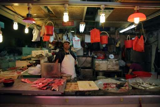 Popular, threatened seafood in Hong Kong include grouper, wild sea cucumber and humphead wrasse—a coral reef fish