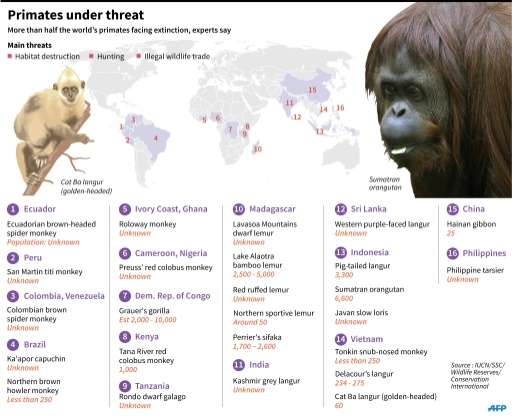 Primates under threat
