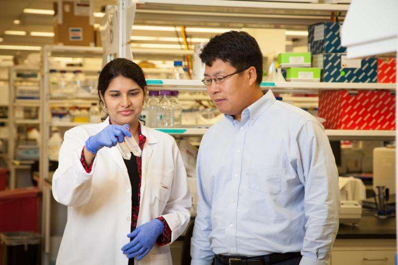 Promising target for new drugs found in pancreatic cancer cells