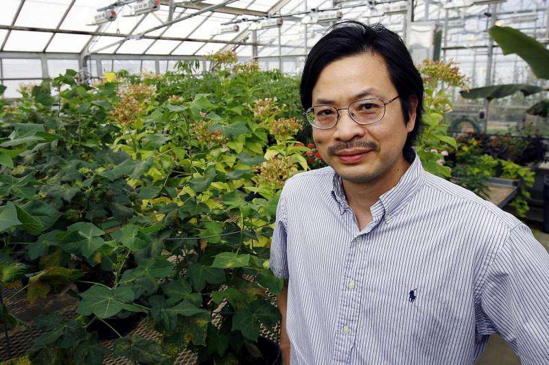 Protecting plants from stealthy diseases