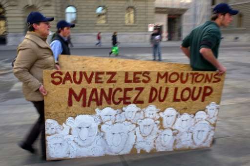 Protesters carry a banner reading in French, &quot;Save sheep, eat wolf&quot; during a protest by stock breeders and farmers aga