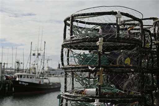 Questions, answers about toxic West Coast crabs