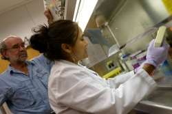 Rabbit virus improves bone marrow transplants, kills some cancer cells