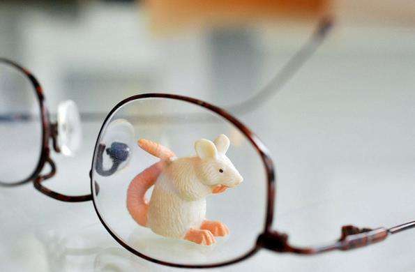 'Rat vision' may give humans best sight of all