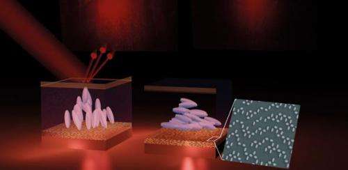 Real-time holographic displays one step closer to reality