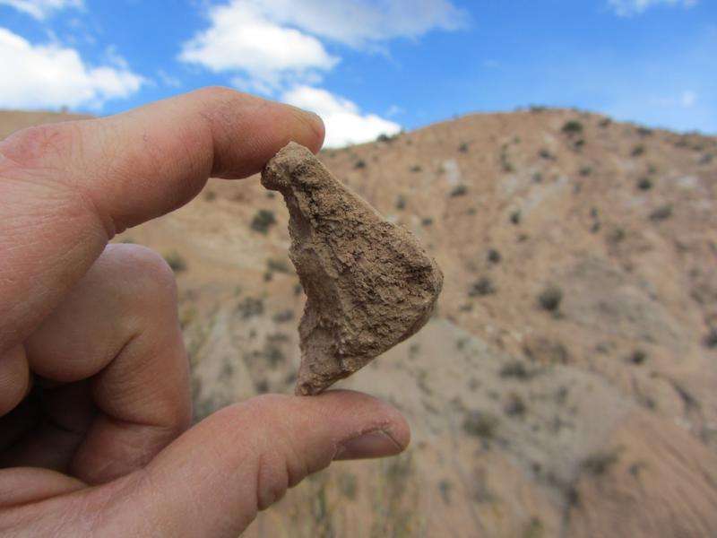 Reptile fossils offer clues about elevation history of Andes Mountains