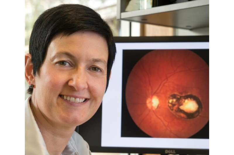 研究人员有助于发现恢复幸存者眼液中的埃博拉病毒