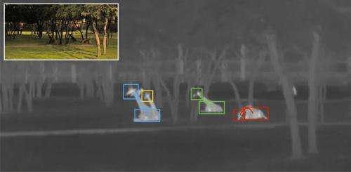 Researchers scan video to monitor nighttime behavior of giraffes