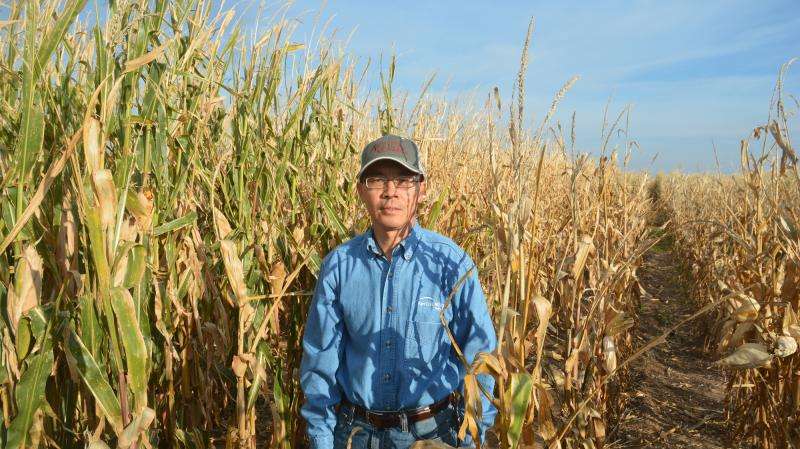 Research scientist advises delaying corn planting in stressful years