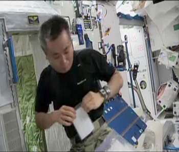 Results for microbes collected by citizen scientists and grown on the International Space Station