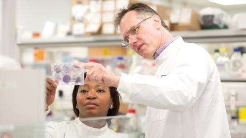 Revamped drug may overcome resistance in brain tumours