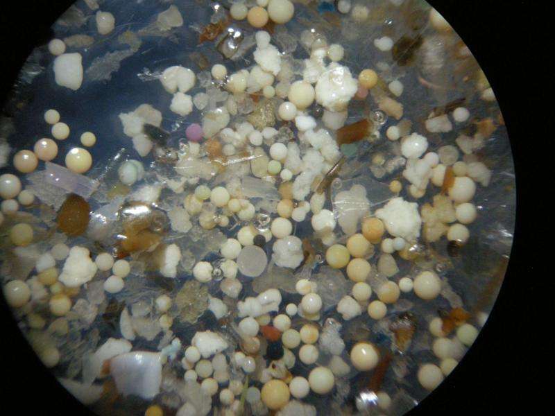 Rhine has highest level of microplastics pollution measured in any river