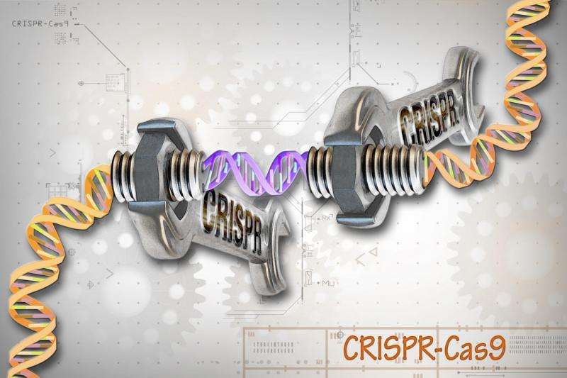 RNA-based drugs give more control over gene editing