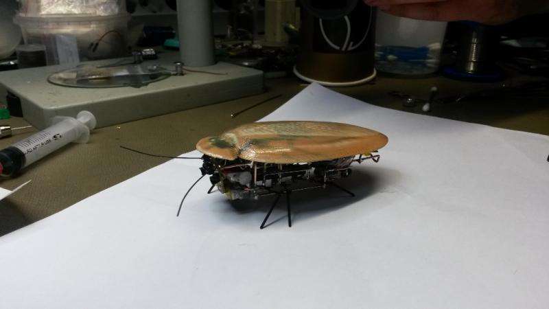 Robot mimics cockroach in Russian research initiative