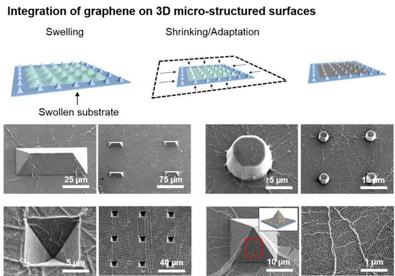 Robust new process forms 3-D shapes from flat sheets of graphene
