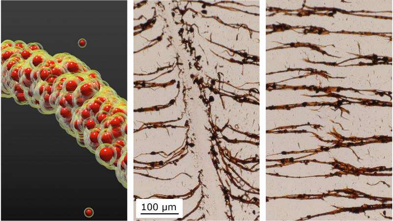 Sandcastles inspire new nanoparticle binding technique