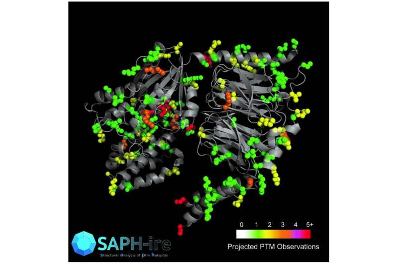 SAPH-ire helps scientists prioritize protein modification research