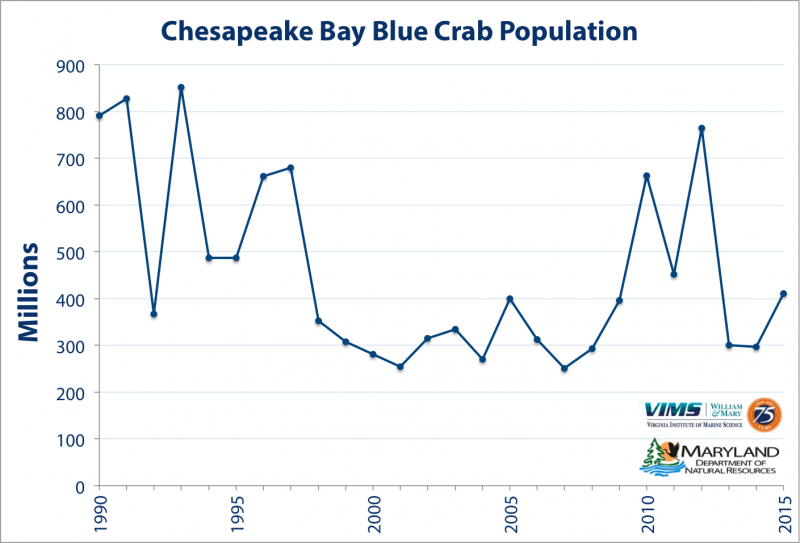 Scientific survey shows modest improvement in blue crab stock