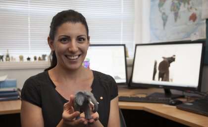 Scientist pursues the perfect pachyderm pedicure