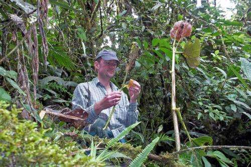 Scientists reveal global patterns of specialized feeding in insect herbivores