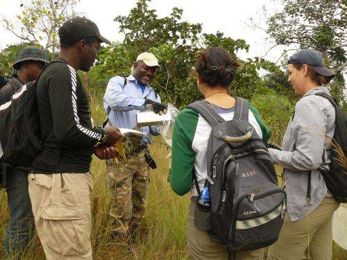 Scientists to use research and education to guide conservation in central Africa