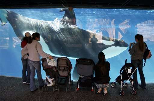 SeaWorld suing California over ban on orca breeding