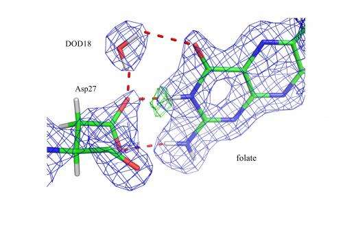 “Seeing” hydrogen atoms to unveil enzyme catalysis