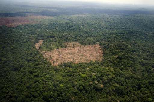 Seen from above, the Amazon resembles a huge billiards table—a field of intense green pockmarked by brown stains