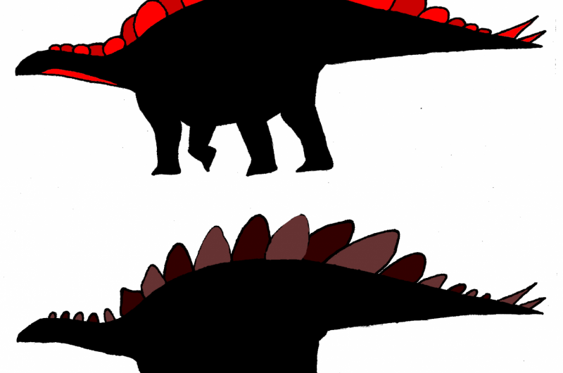 Sexing Stegosaurus