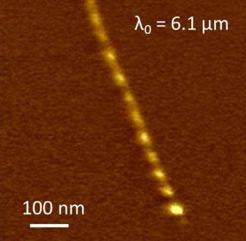 Short wavelength plasmons observed in nanotubes