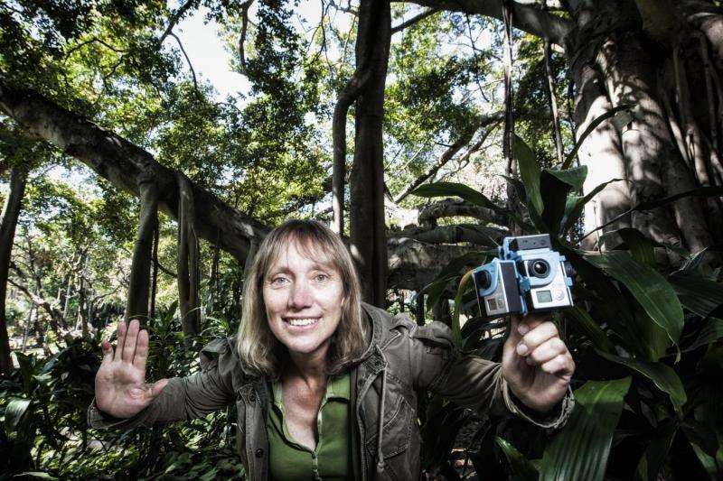 Sight set on tracking threatened species: QUT research