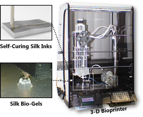 Silk bio-ink could help advance tissue engineering with 3-D printers