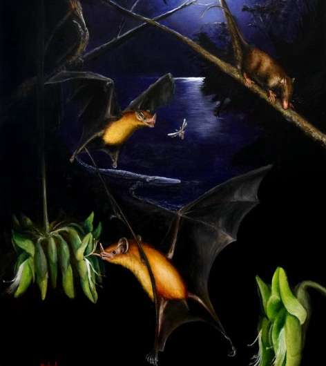 Single tooth analysis of oldest-known plant-visiting bat fossil suggests it was omnivorous