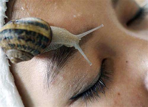 Snails slither into spa scene in Thailand and around world